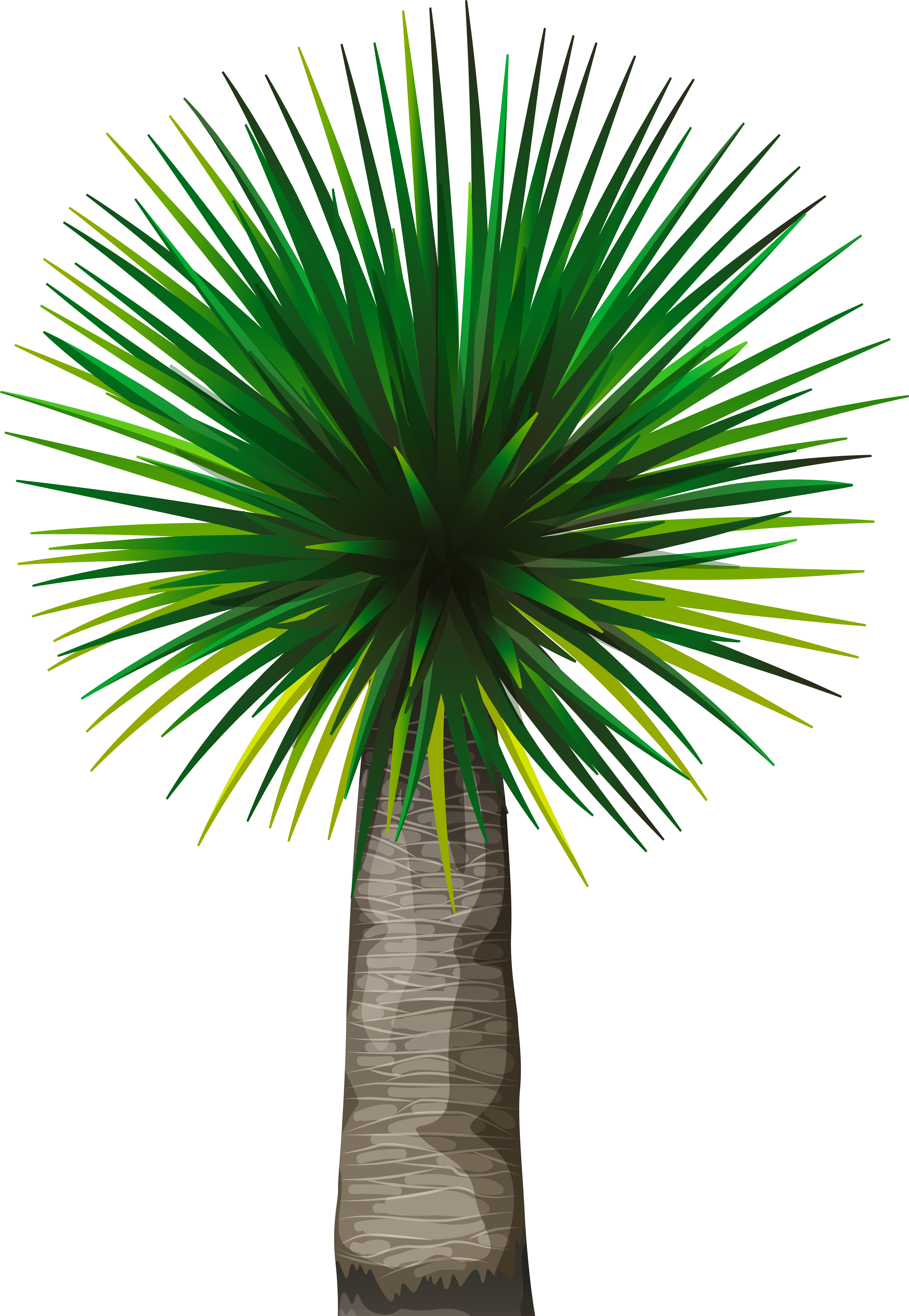 Palm Tree Png Clip Art Image, Is Available For Free - Illustration (5686x8000), Png Download