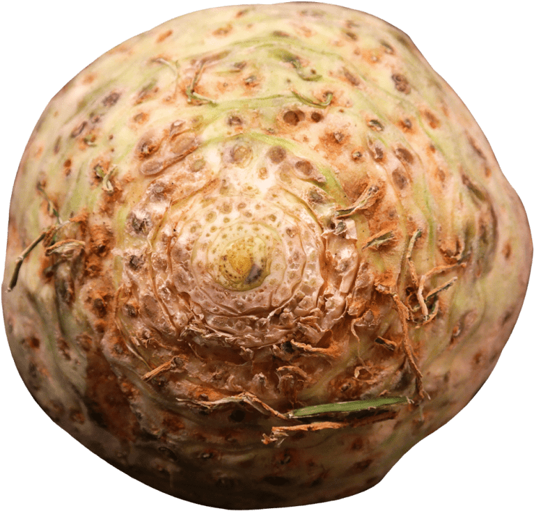 Free Png Fresh Celery Root Png Images Transparent - Portable Network Graphics (850x806), Png Download