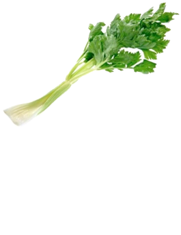 Celery (498x498), Png Download