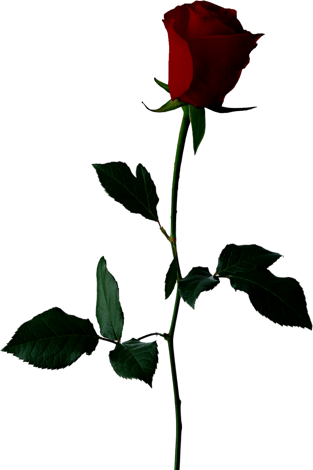 Cemetery Drive, Pencil Watercolor A Little Bit Of Space - Romantic Image Download Full Hd (1049x1555), Png Download