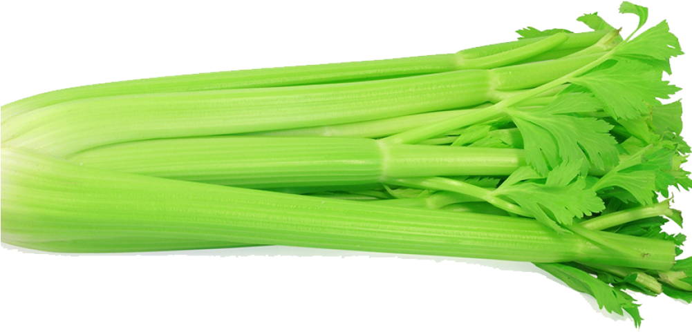 Celery - เซ ลา รี่ หรือ ขึ้นฉ่าย ฝรั่ง (1000x1000), Png Download