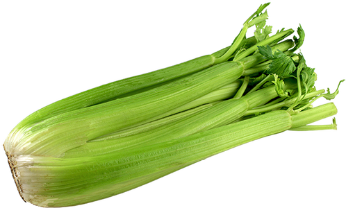 Leek (498x300), Png Download