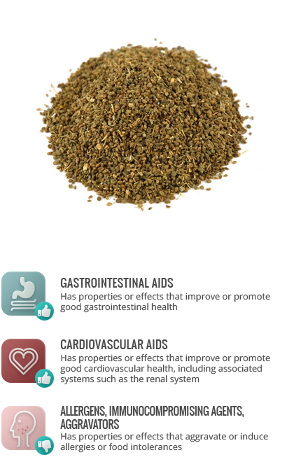 Allergens - Michele's Pantry Celery Seed 16 Oz - 1lb. (420x653), Png Download