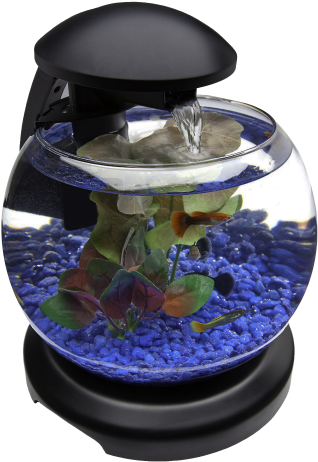Glob Aquarium Fish Tank Png Transparent Image - Png Transparent Fish Tank Png (500x489), Png Download
