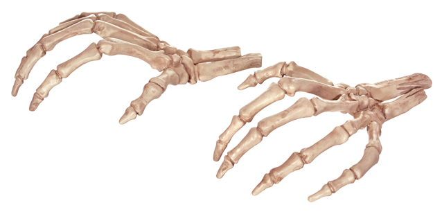 Skeleton Hands - Crazy Bonez Skeleton Hands For Halloween Decoration (650x323), Png Download