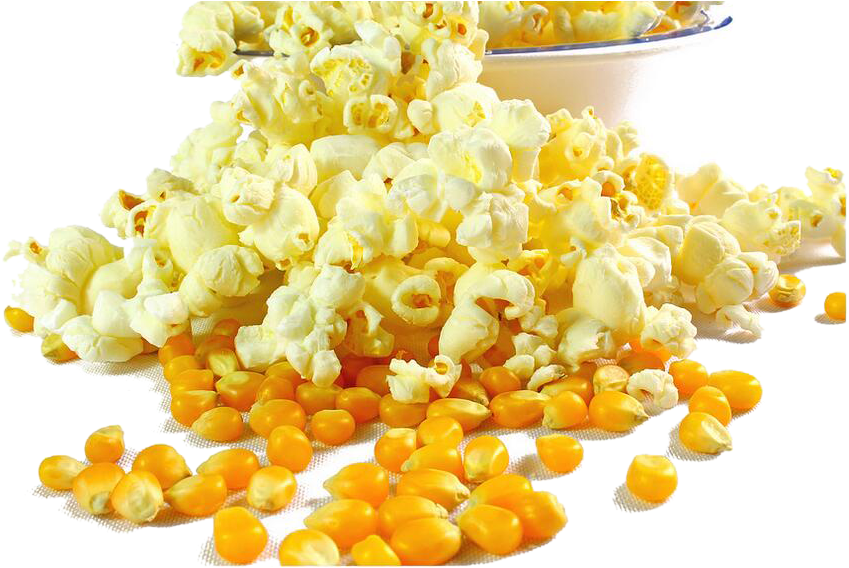 Popcorn Kettle Corn Grits Maize Corn Kernel - Milho De Pipoca (874x597), Png Download