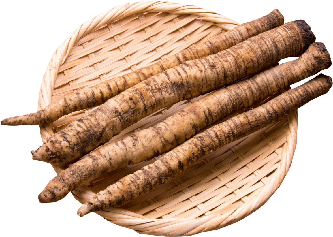 Burdock Root In Bowl Png Image - Greater Burdock Vegetable (800x600), Png Download