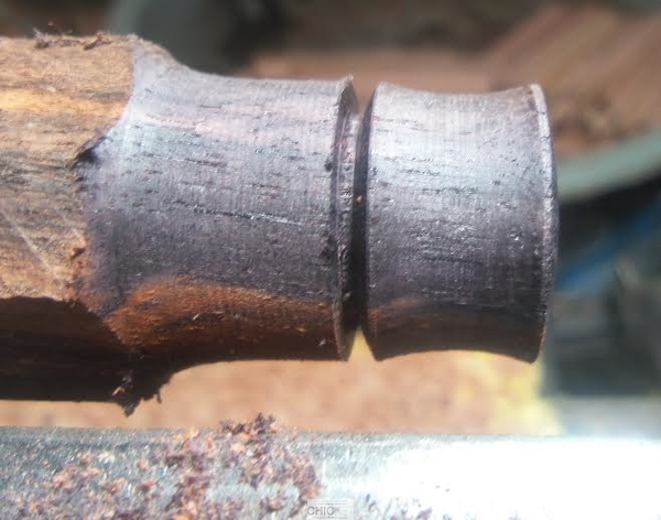 Organic Arangholz Plug Black Dots Shell Inlay White - Plug (350x276), Png Download