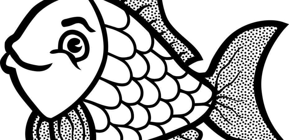 Fish Coloring Page For Toddlers - Fish Pic For Colouring (930x450), Png Download