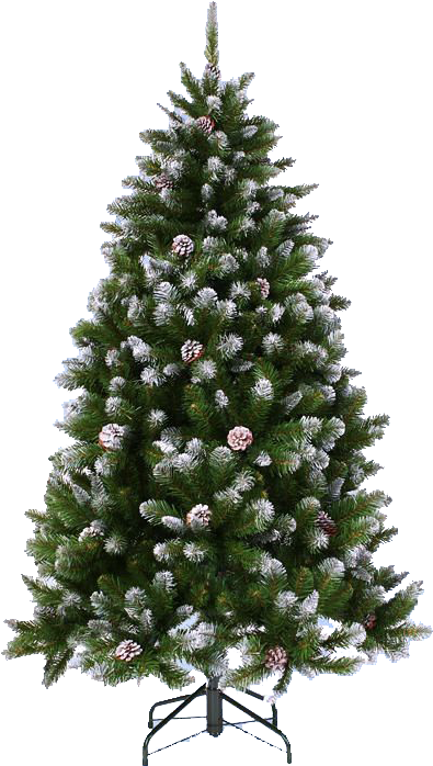 Árbol De Pino Con Nieve Para Navidad - Ель С Шишками Императрица Заснеженная (490x710), Png Download