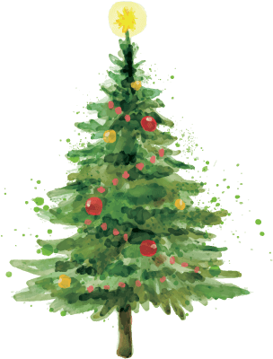 Árbol De Navidad - Christmas Tree (345x436), Png Download