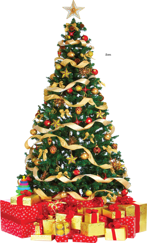 Existen Varias Teorías En Torno Al Origen Del Árbol - Merry Christmas Tree Png (500x824), Png Download