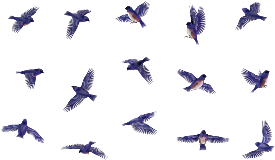 Butterfly 14 By Wolverine041269 On Deviantart - Bird (1024x639), Png Download