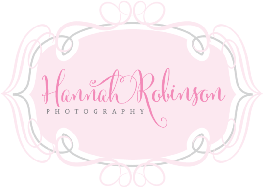 Cropped Hannah Robinson Logo Frame - Frame Para Logo Png (640x452), Png Download