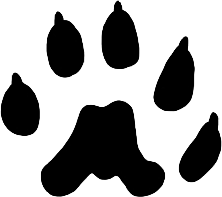 Download Cat Paw Prints Weasel Paw Print Full Size PNG Image PNGkit