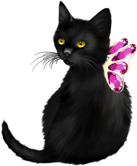 Изображение8 - Cat (446x540), Png Download