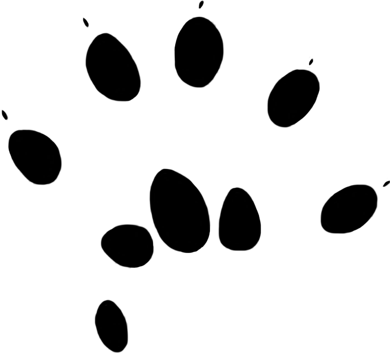 Free Download Mouse Paw Print Clipart Computer Mouse - Paw Mouse (901x1063), Png Download