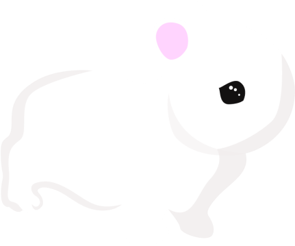 Bunny Vector, Bunny, Rabit, Png Png And Vector - Vector Graphics (640x640), Png Download