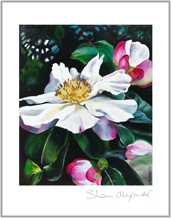 Simply Elegant T-towel - Camelia Canvas Print With Frame (349x443), Png Download