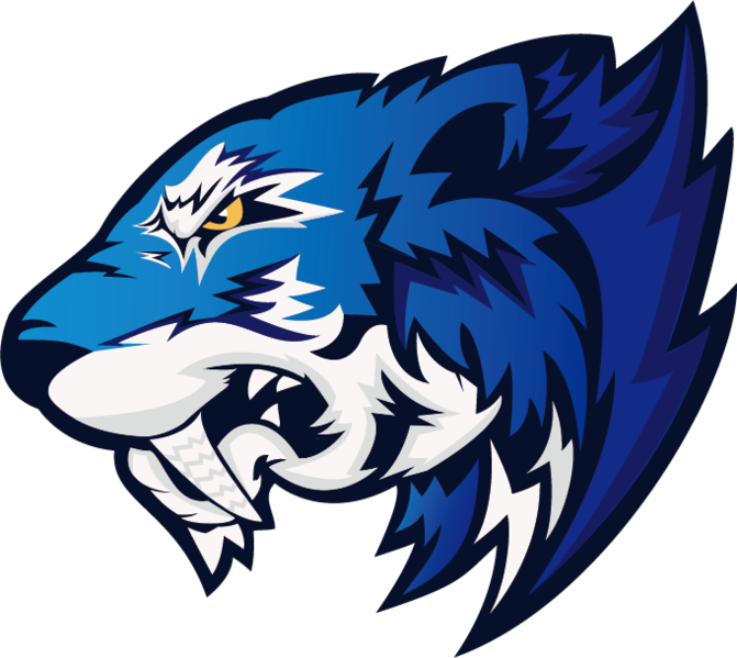 Flash Gaming - Flash Gaming Cs Go (600x536), Png Download