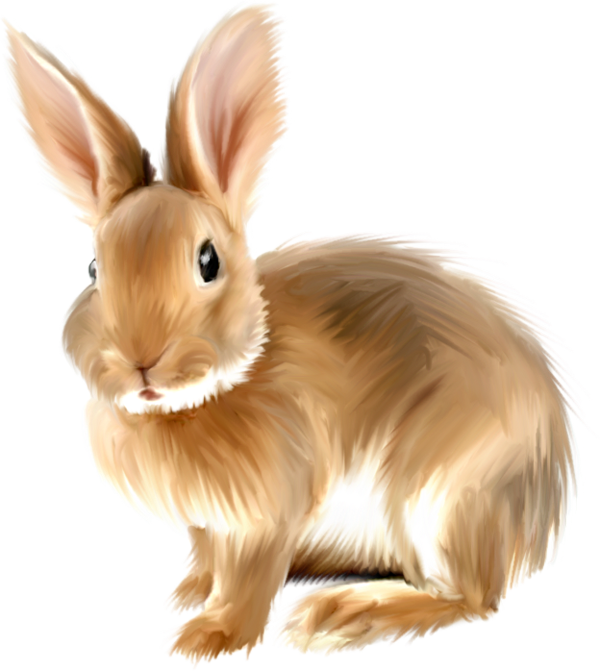 Rabbit Png Images, Free Png Rabbit Pictures Download - Rabbit Png Clipart (400x447), Png Download