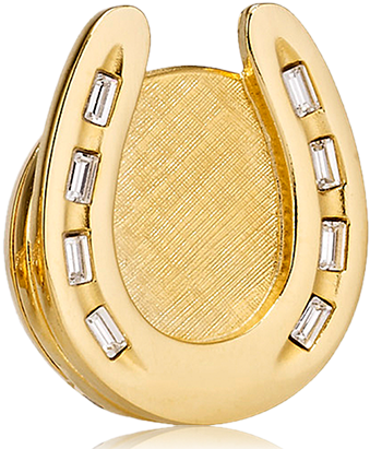 Beautiful Golden Horseshoe - Women's Estee Lauder Limited Edition Horseshoe Solid (410x410), Png Download