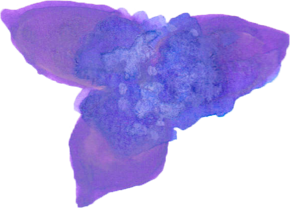 Tropical Purple Flower Elements 0000 Layer 1 - Portable Network Graphics (572x410), Png Download