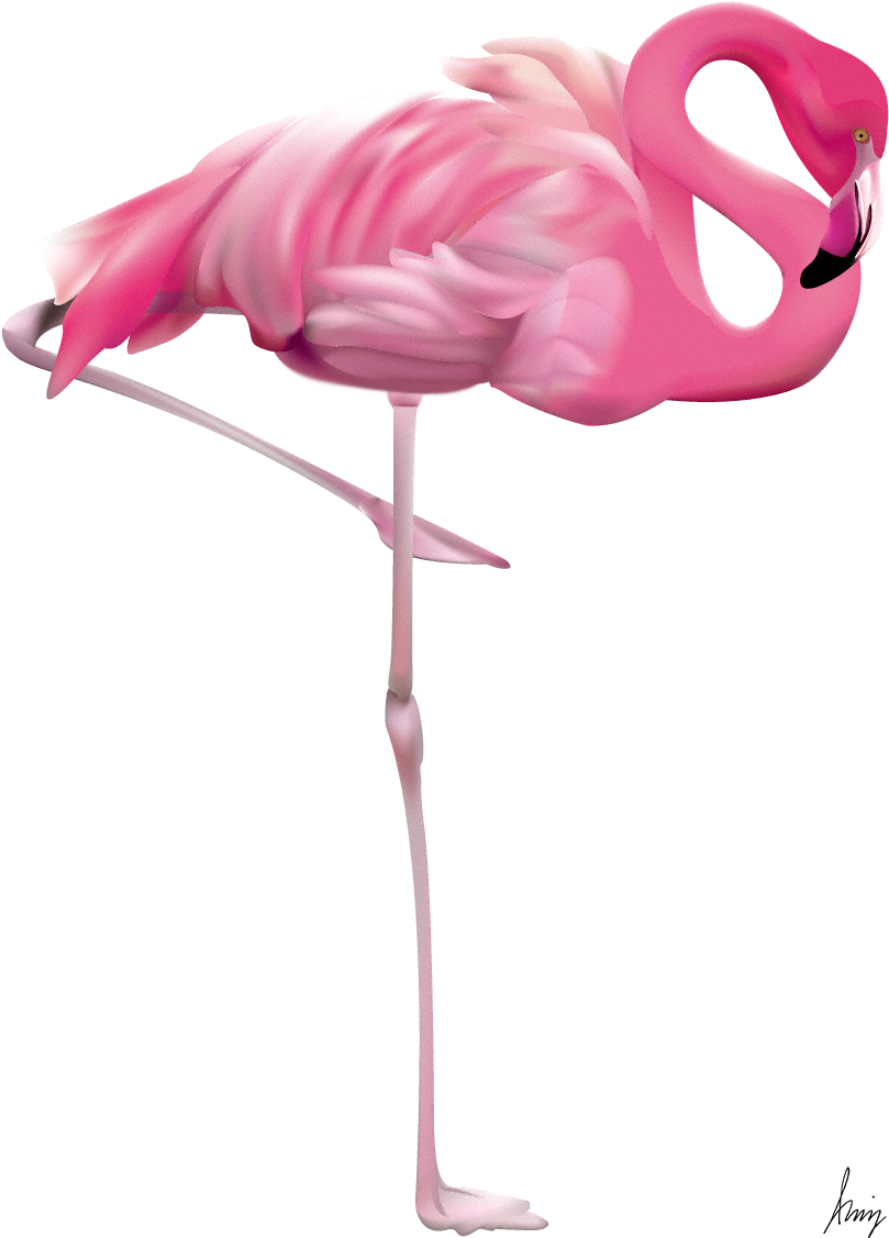 Flamingo By Leo - Flamingo Png (882x1197), Png Download