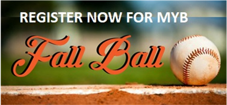 Myb Fall Ball (960x365), Png Download