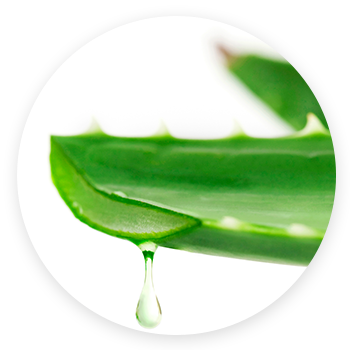 Aloe Vera - Babaria Aloe Vera Cleansing Milk 400 Ml - (350x350), Png Download