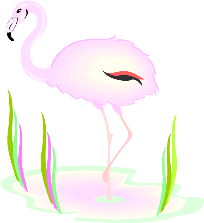 Free Flamingo Clipart - Clip Art (702x750), Png Download