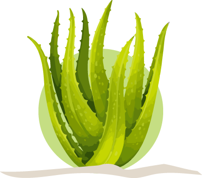 Join Forever Aloe - Aloe Vera By Forever (411x362), Png Download