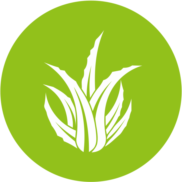 Aloe Icon - Aloe Vera Logo Png (1000x1000), Png Download