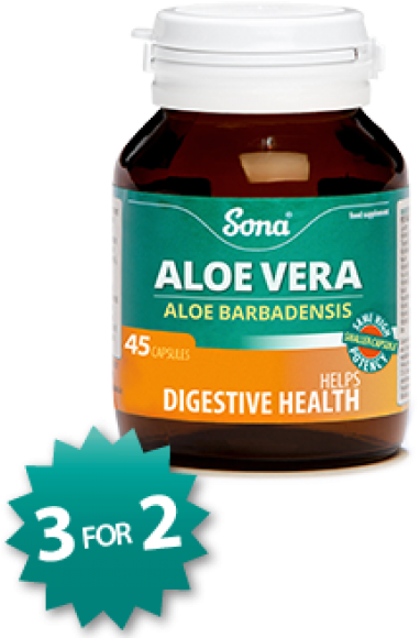 Aloe Vera - Thiamin Vitamin (500x600), Png Download