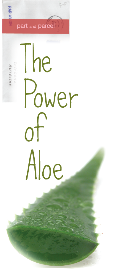 Aloe Vera - Aloe Vera Plant (384x945), Png Download