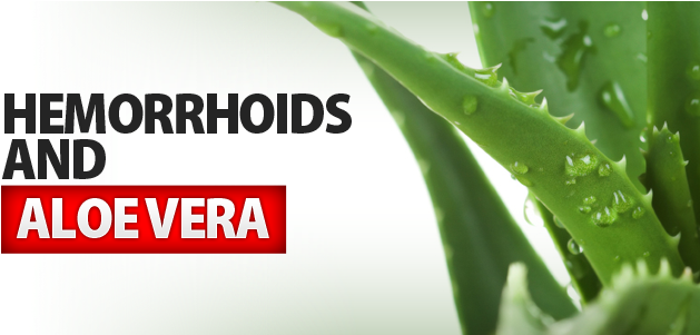 Hemorrhoid And Aloe Vera - Kodiake Eye Zinc - Organic Eye Cream With Zinc Oxide, (640x300), Png Download