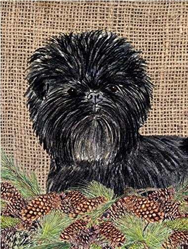 Auction - Caroline's Treasures Affenpinscher 2-sided Garden Flag (1000x1000), Png Download