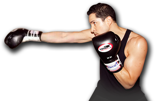 Contact - Professional Boxing (508x332), Png Download