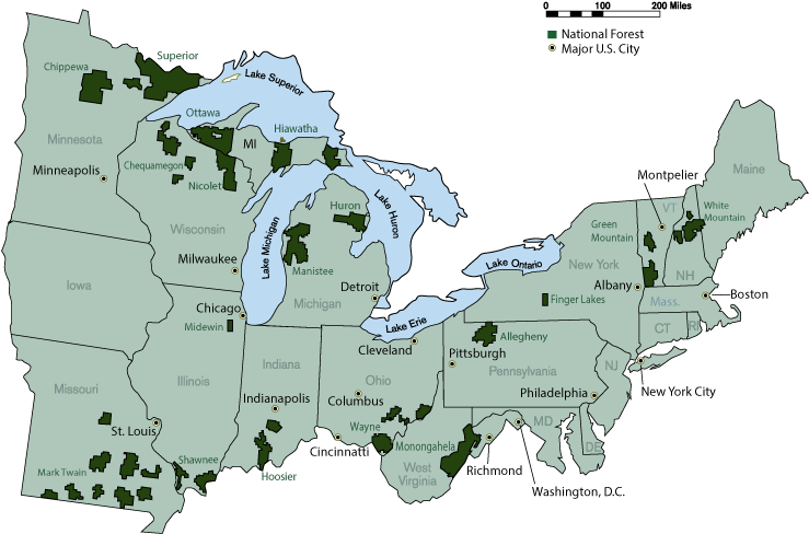 A Map Of The Eastern Region Of The United States Displaying - United States National Forest (792x612), Png Download