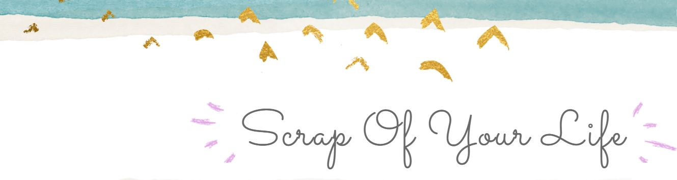 Scrap Of Your Life - Hindi (1329x353), Png Download