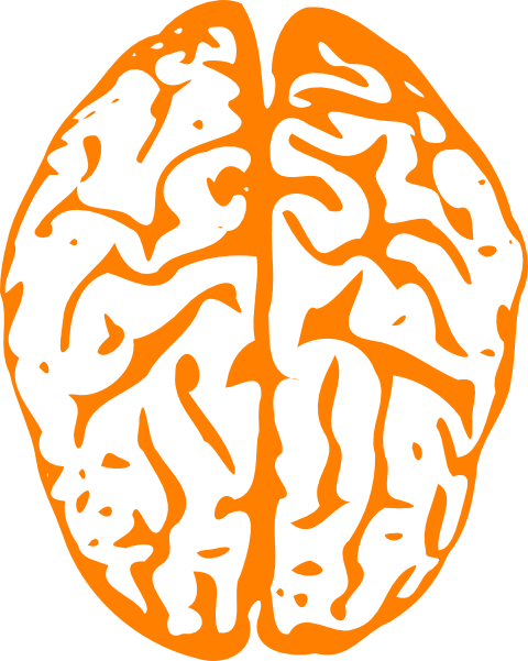 How To Set Use Orange Brain Svg Vector (480x601), Png Download