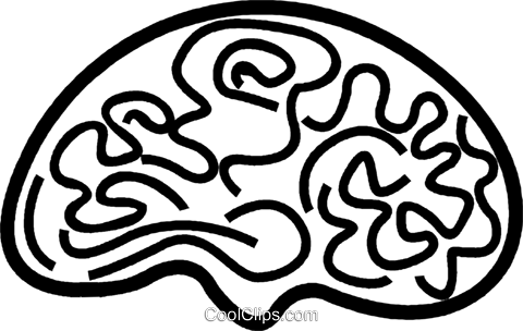 Brain Royalty Free Vector Clip Art Illustration - Illustration (480x304), Png Download
