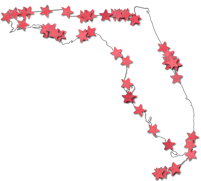 A Map Of Florida With A Thin Black Outline, Inner Drop - Florida (768x692), Png Download