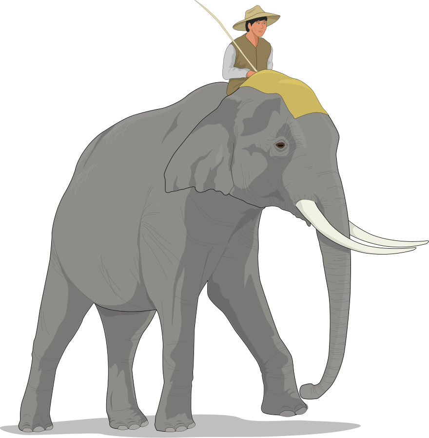 Asian Elephant Clipart Large Elephant - Elephant Rider Clipart (880x900), Png Download