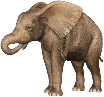 Baby Transparent Images Png - Elephant With Baby Png (431x400), Png Download