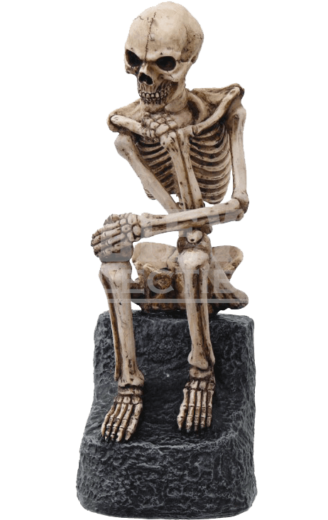 Thinker Skeleton Statue - Thinker Skeleton Figurine 8276 (768x768), Png Download