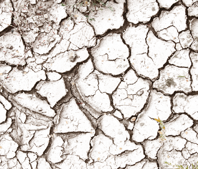 Cracky Decals - Close-up (640x548), Png Download