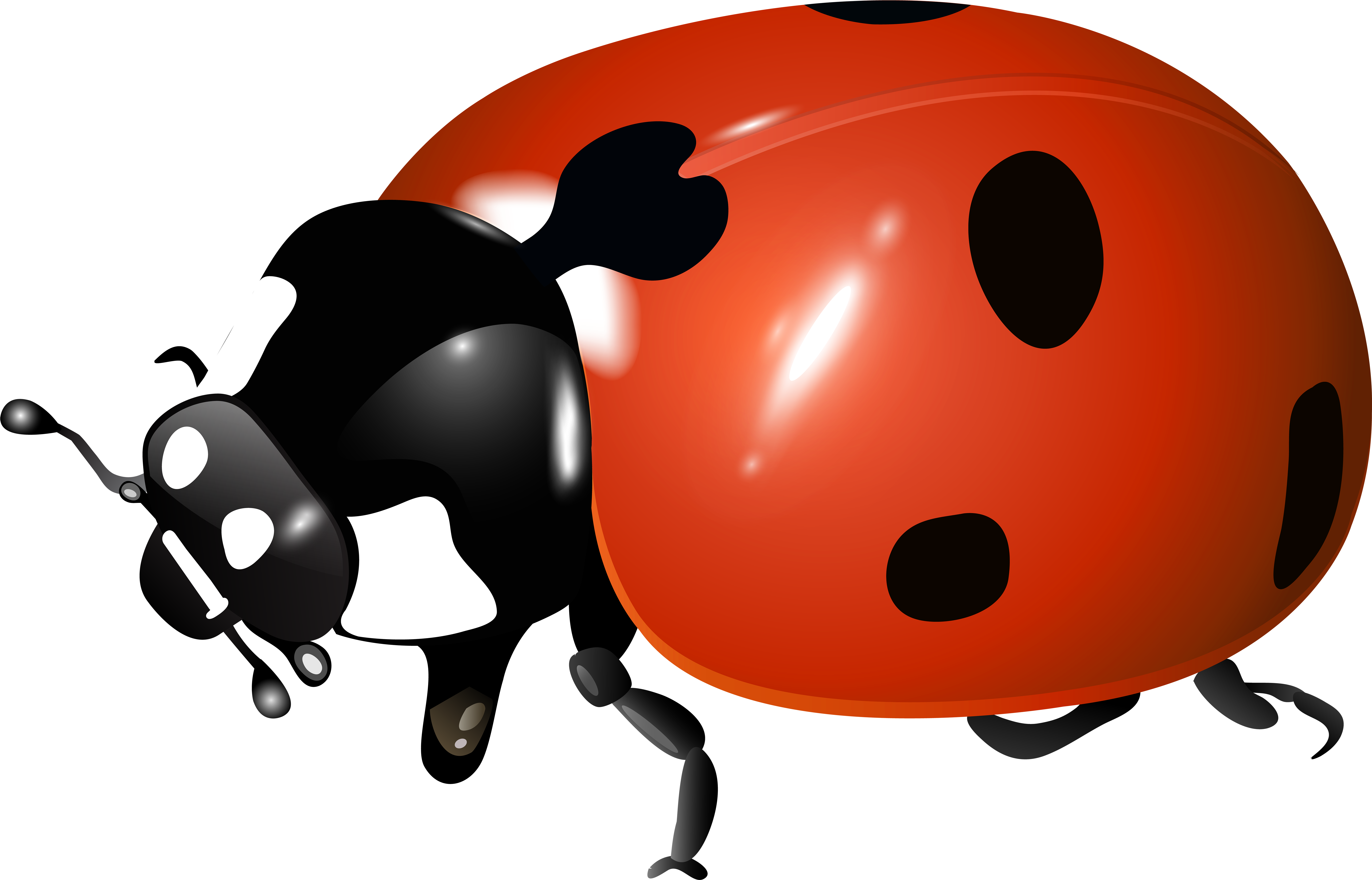 Cute Baby Ladybug Clipart - Sphere With Spring Inside, Vect Snowflake Ornament (8000x5130), Png Download