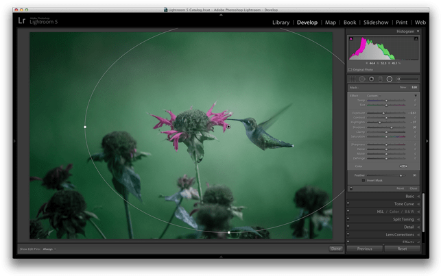 Enter The Radial Filter Tool - Lightroom 3 (650x410), Png Download
