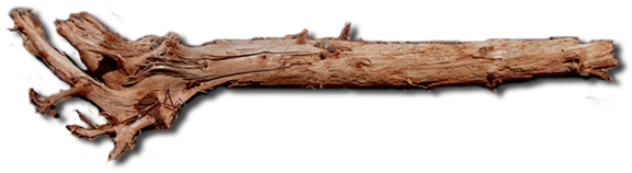 Dundjinni Mapping Software Forums - Old Wood Log Png (640x204), Png Download